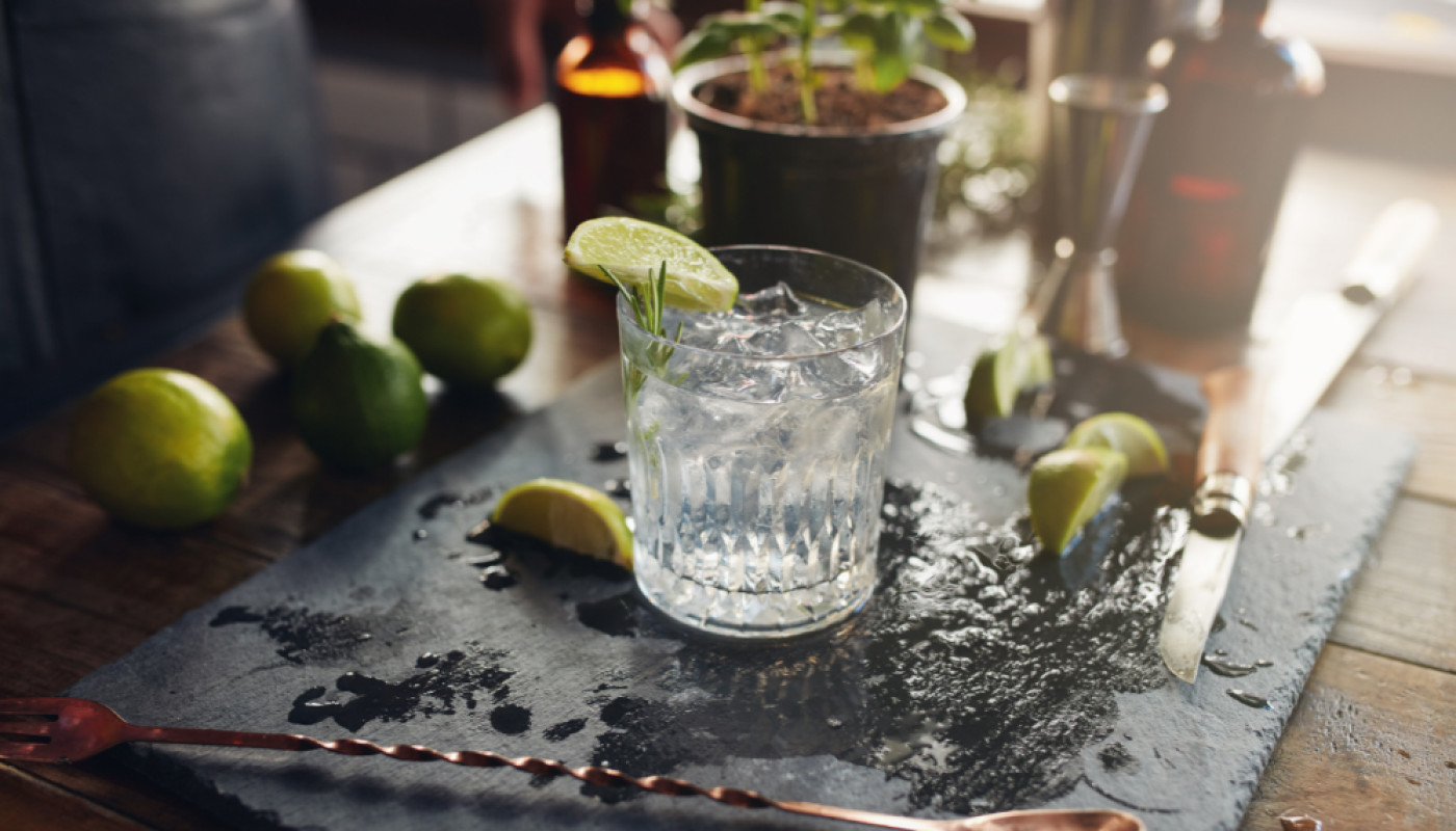 Avec quel alcool se marie bien le gin ?